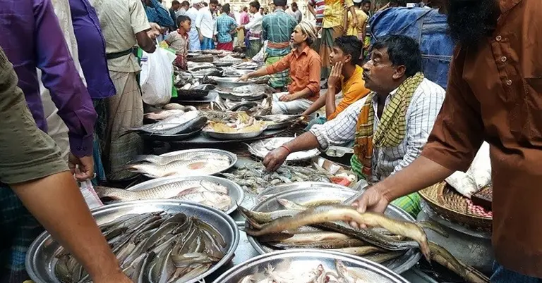 মাছ বাজারে ক্রেতা সমাগম